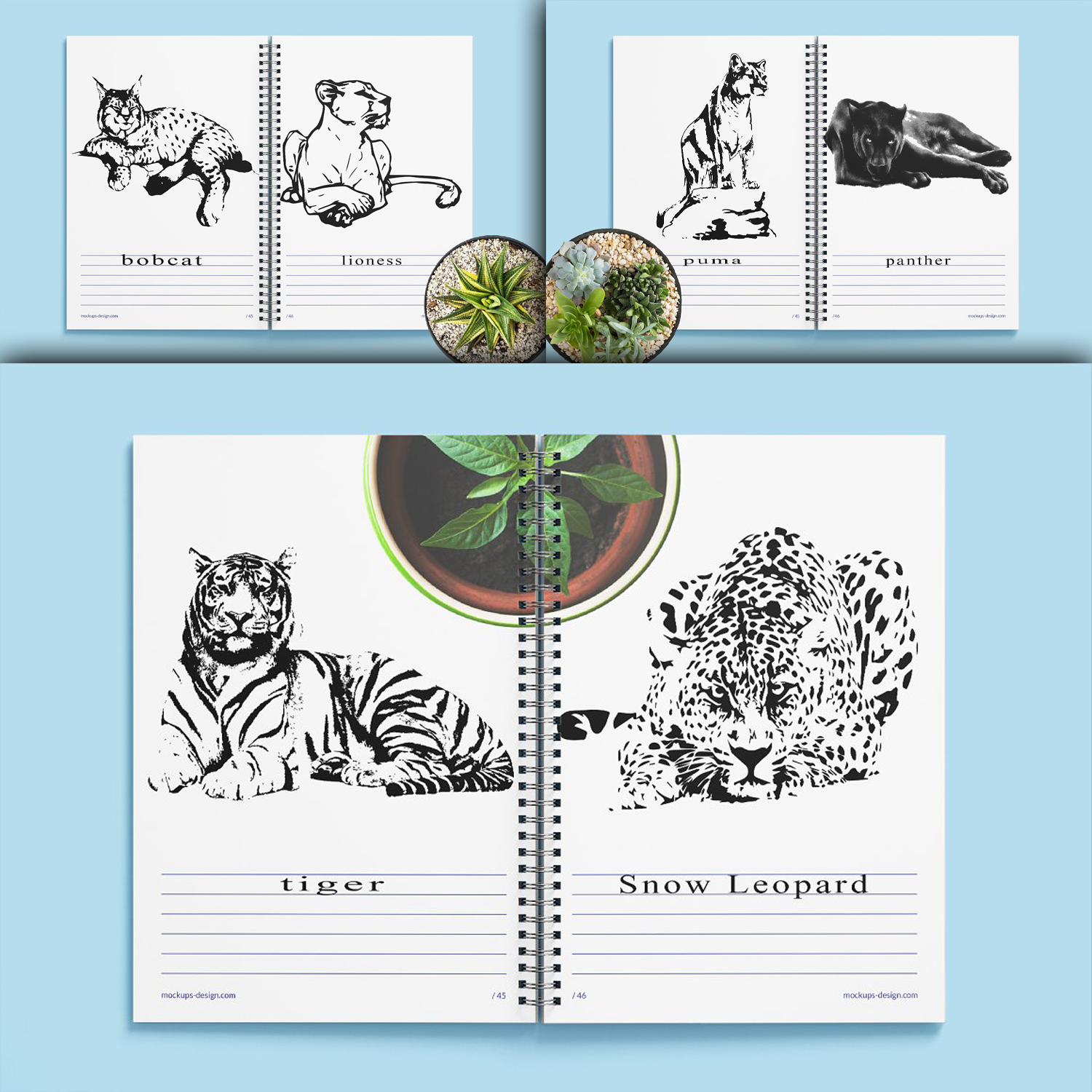 Preview wild cat family. vector illustration.