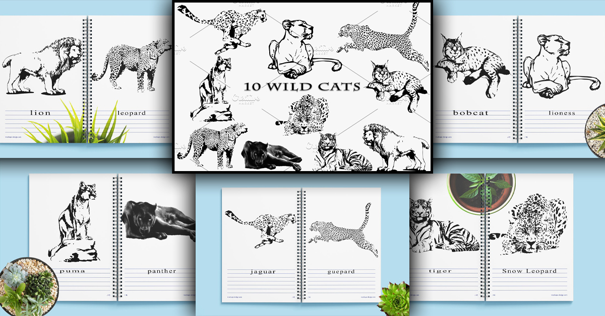 Wild Cat Family. Vector Illustration – MasterBundles