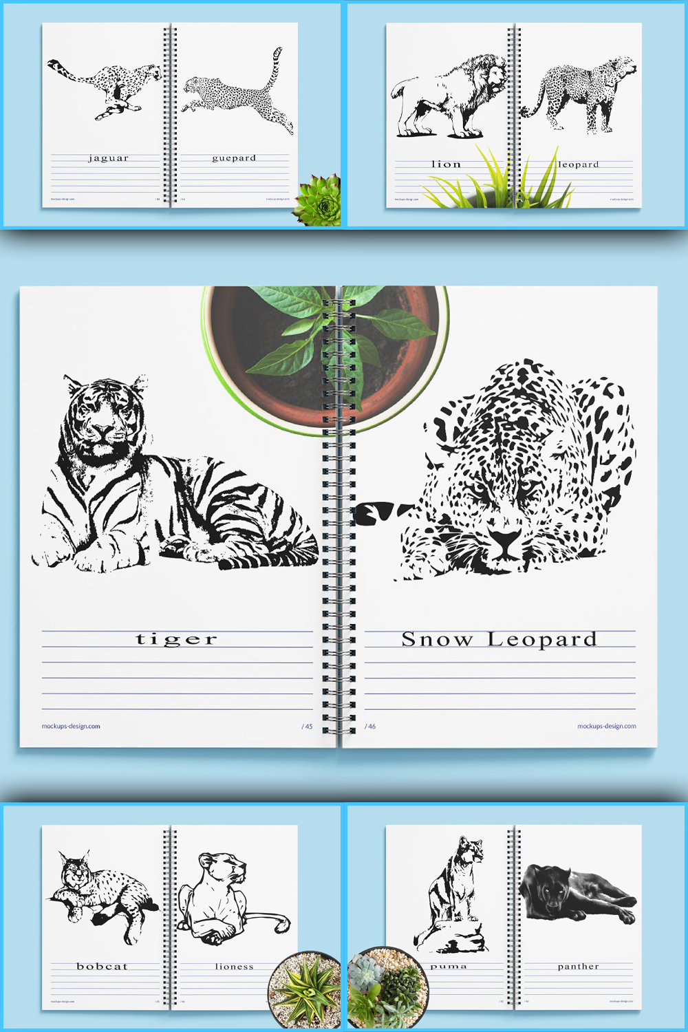 Pinterest illustrations wild cat family. vector illustration.
