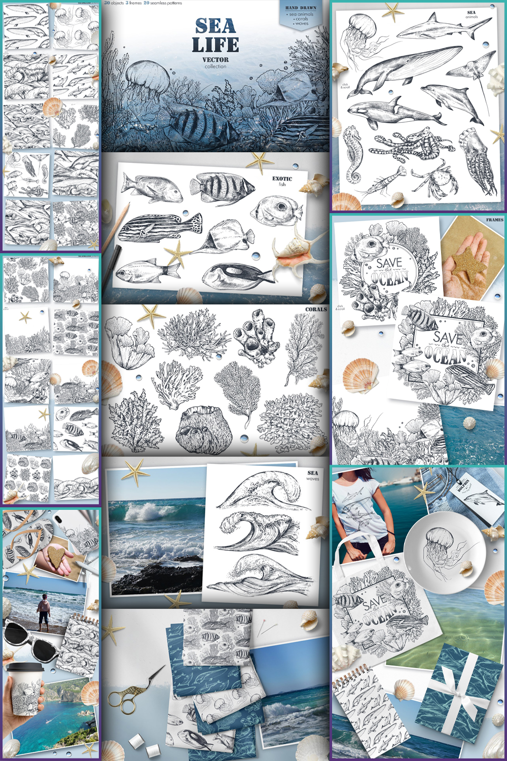Illustrations sea life vector collection of pinterest.
