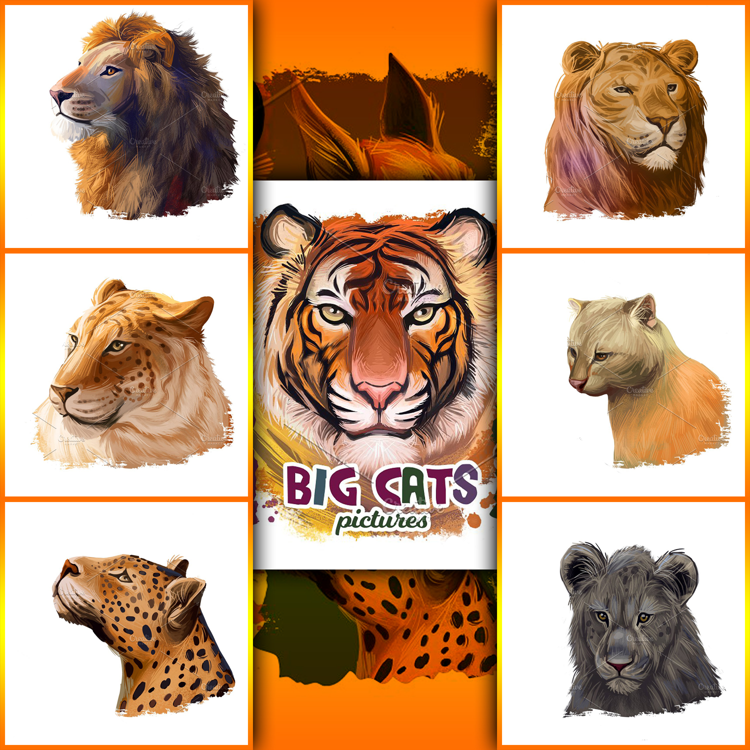 Preview bigcats adult wild animals.