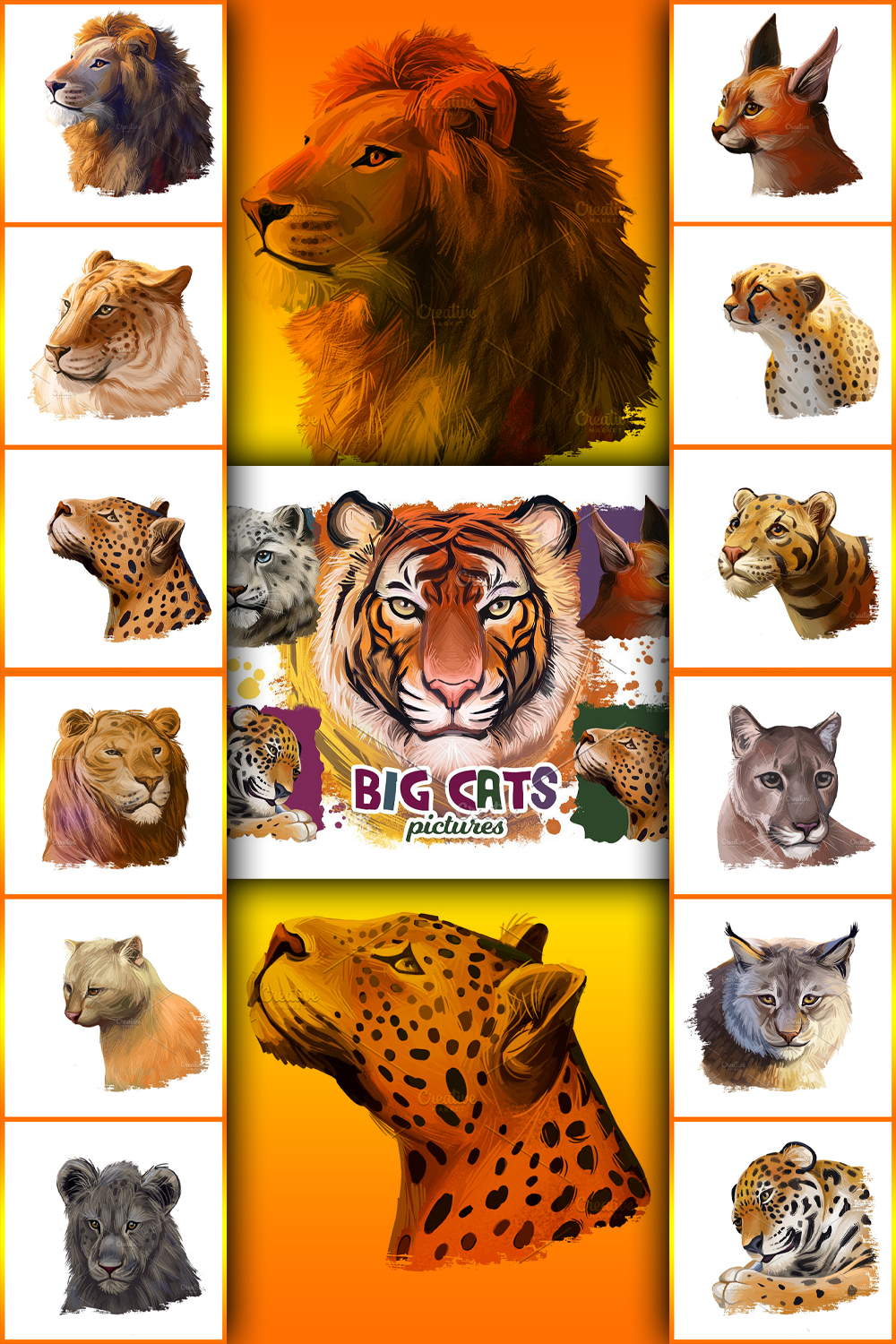 Pinterest illustrations big cats adult wild animals.