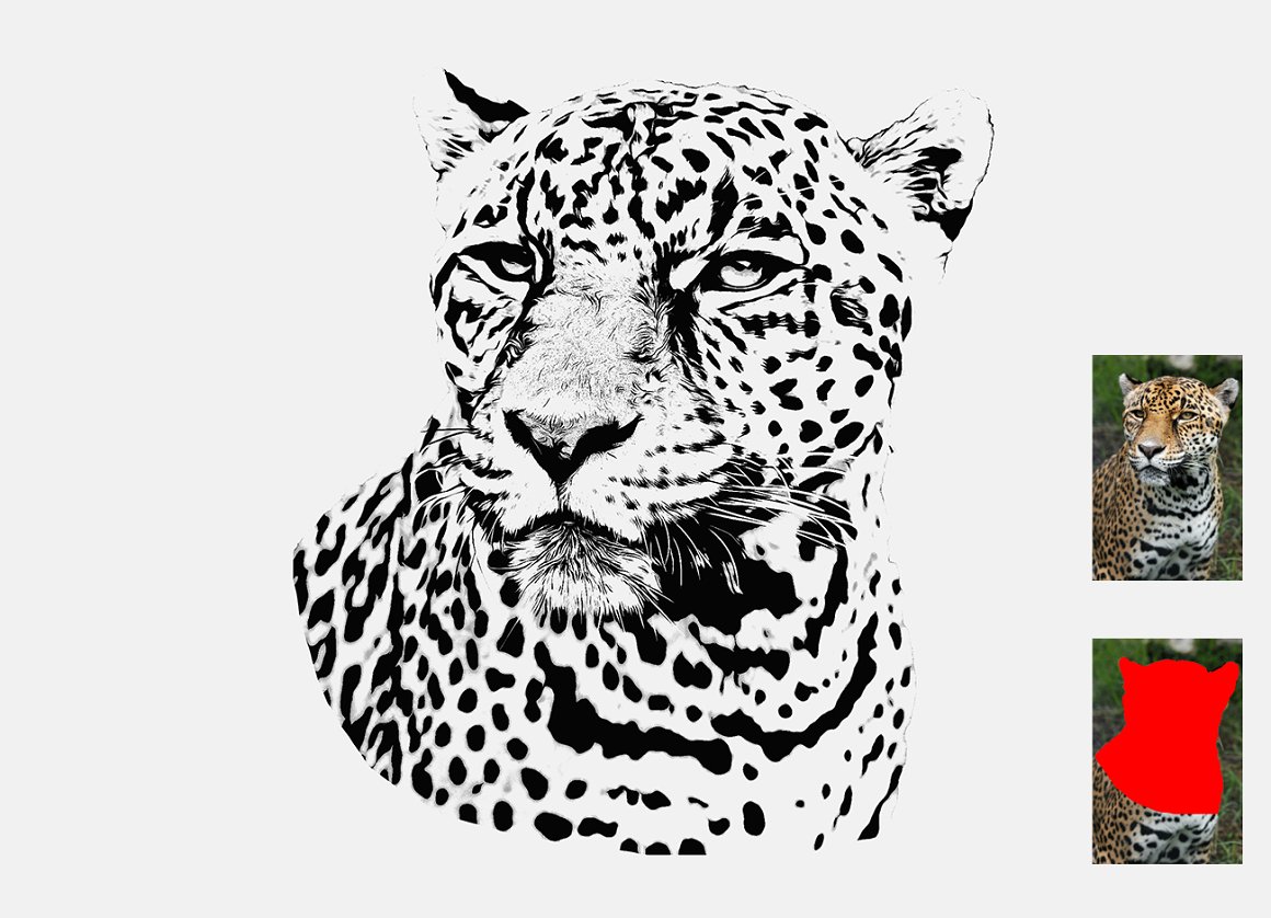 Leopard and other black and white image.