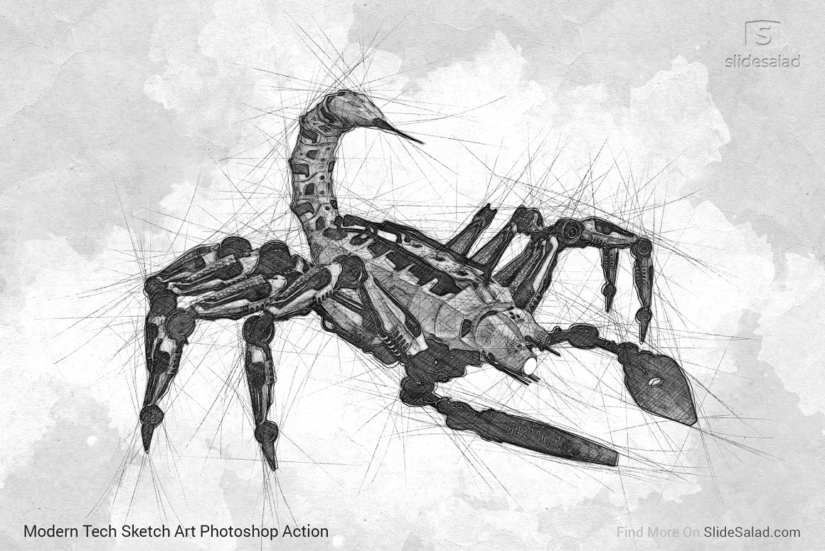 Black and white image of a scorpion.