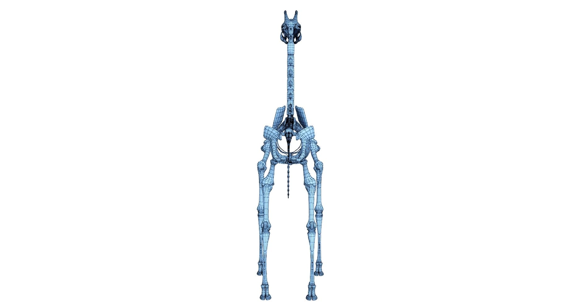 Image of a blue 3D model of a giraffe skeleton from the side of the skull.