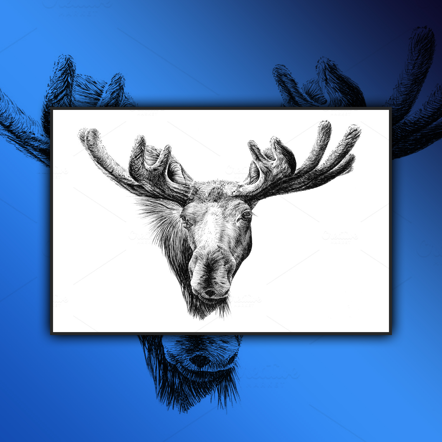 Images with hand drawn moose portrait sketch gr.