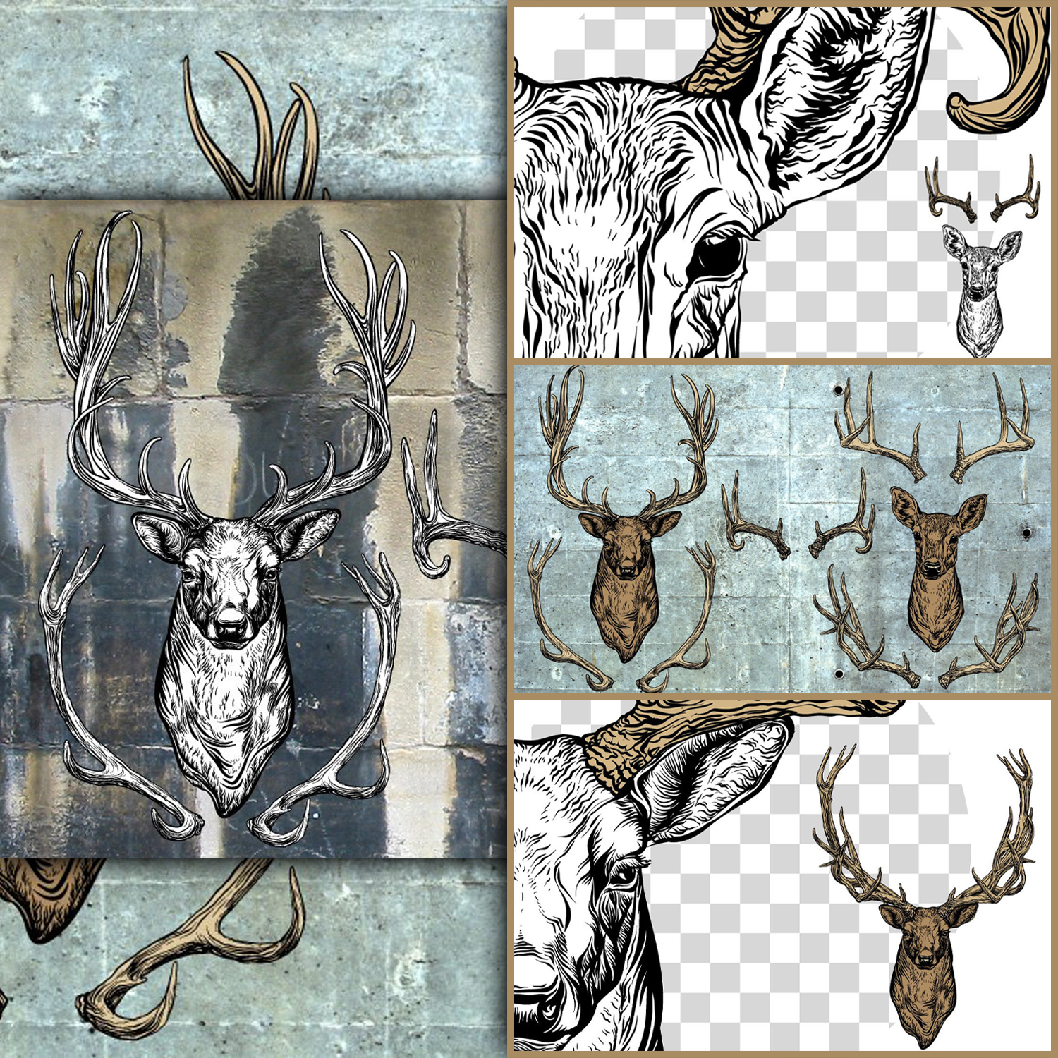 Preview images deer and antlers set.