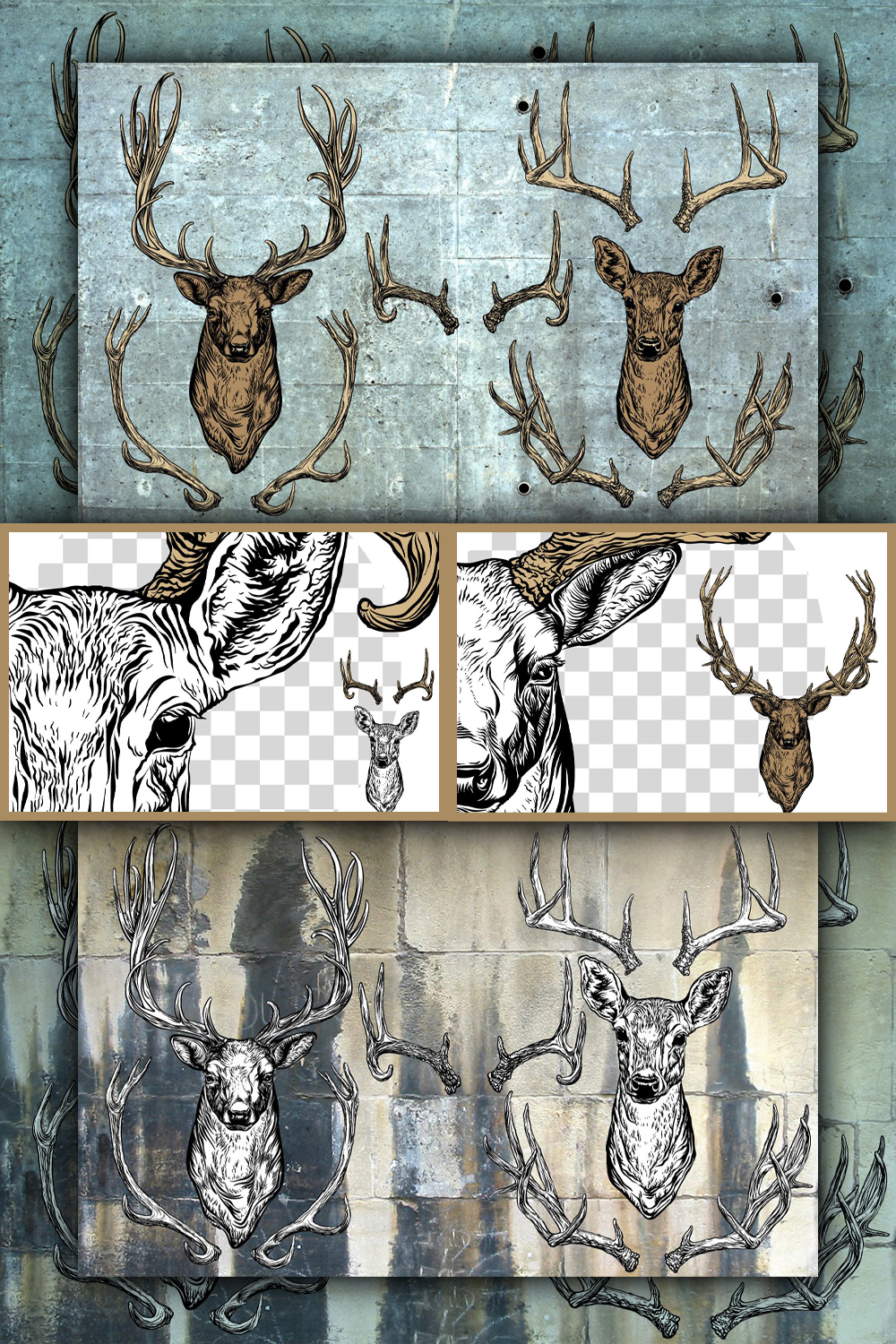 Illustrations of deer and antlers set pinterest.