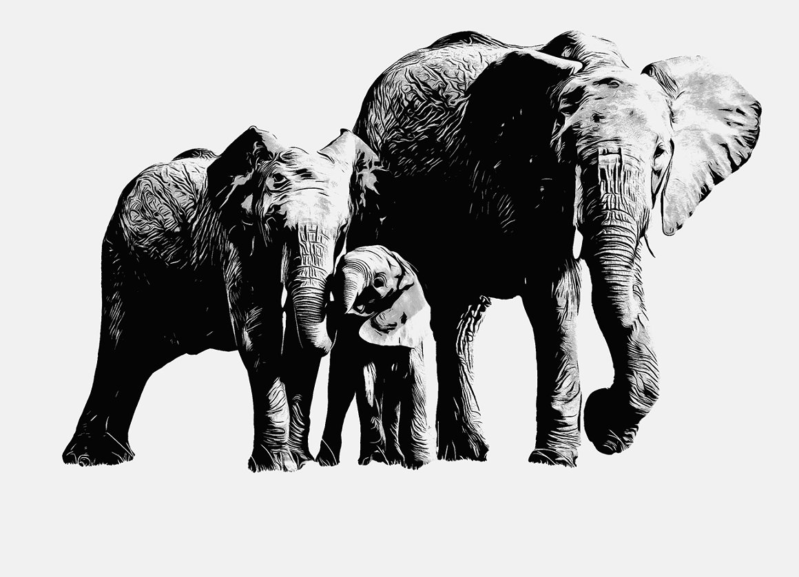 Various images of elephants on a white background.