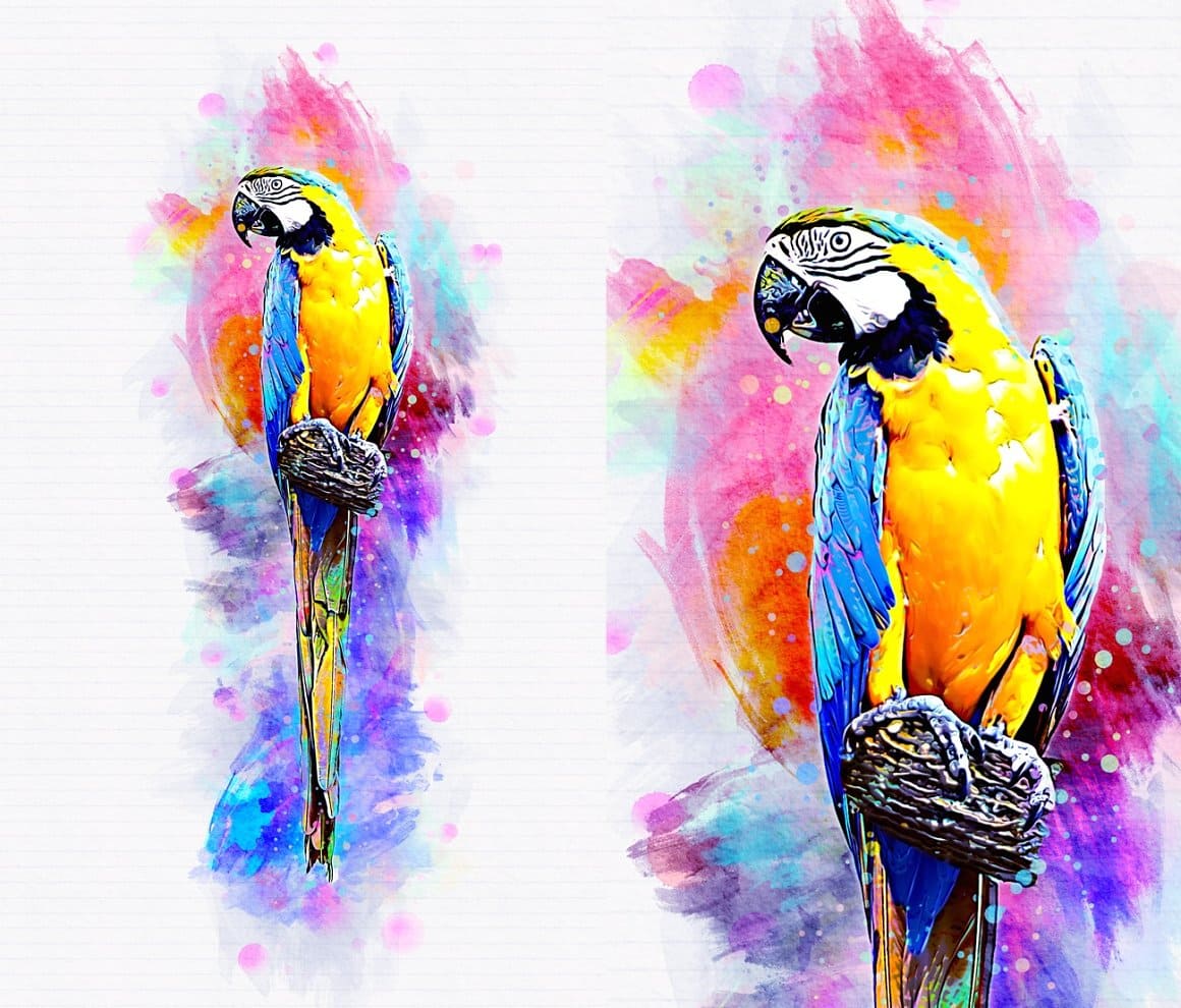 Yellow and blue parrot image with Pet Watercolor Art Plugin design.