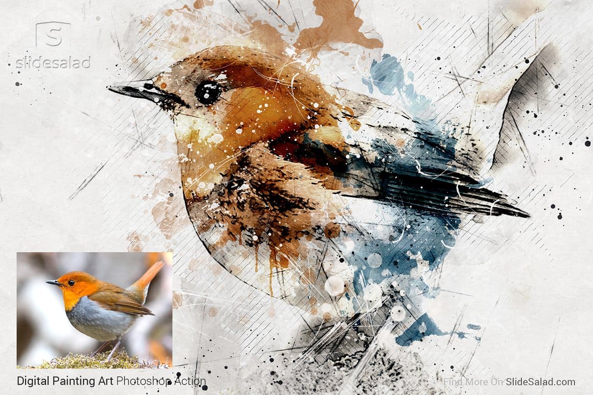 An image of a bird painted in watercolor and a photo of this bird.