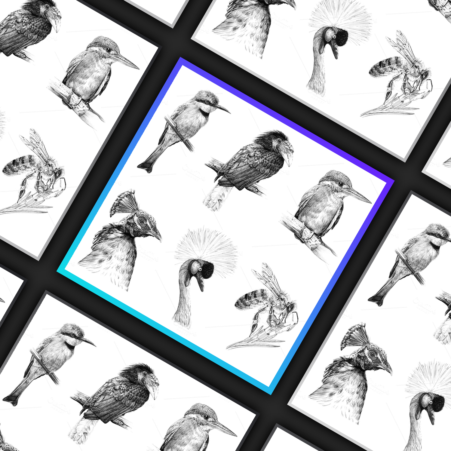 Preview set of six birds animals hand drawn illustrations.