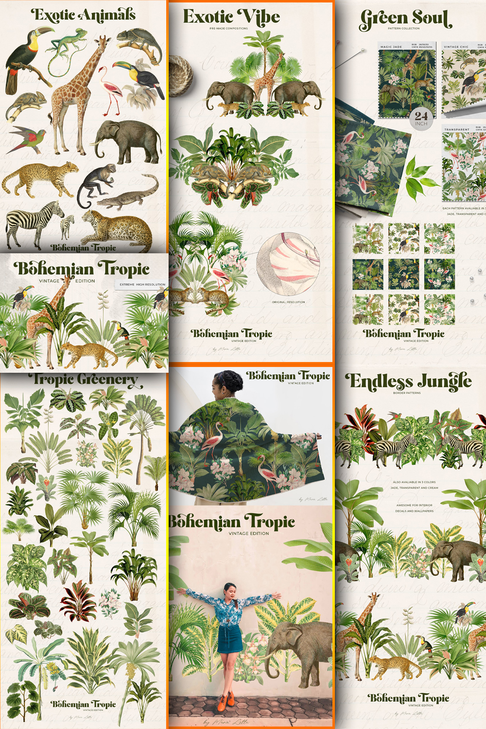 Pinterest illustrations bohemian tropic vintage pack.