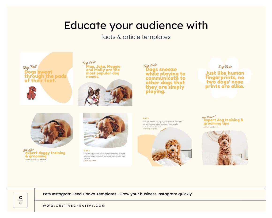 Educate your audience with facts and article templates.