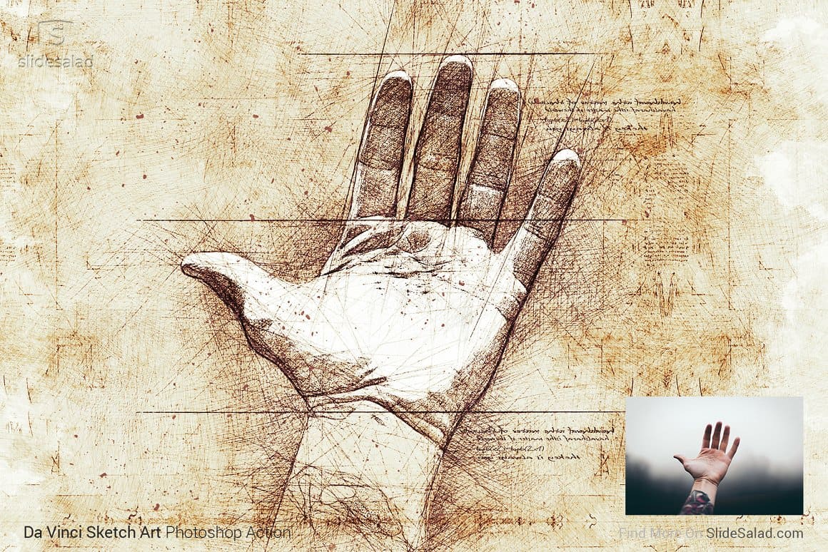A photo of a palm and a drawing from this photo using Da Vinci Sketch Art Photoshop Action.