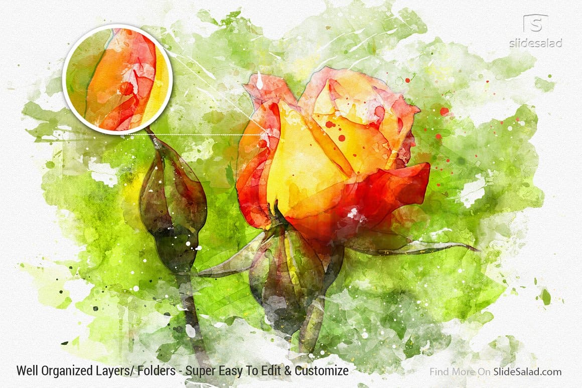 Watercolor image of a yellow-orange rose.