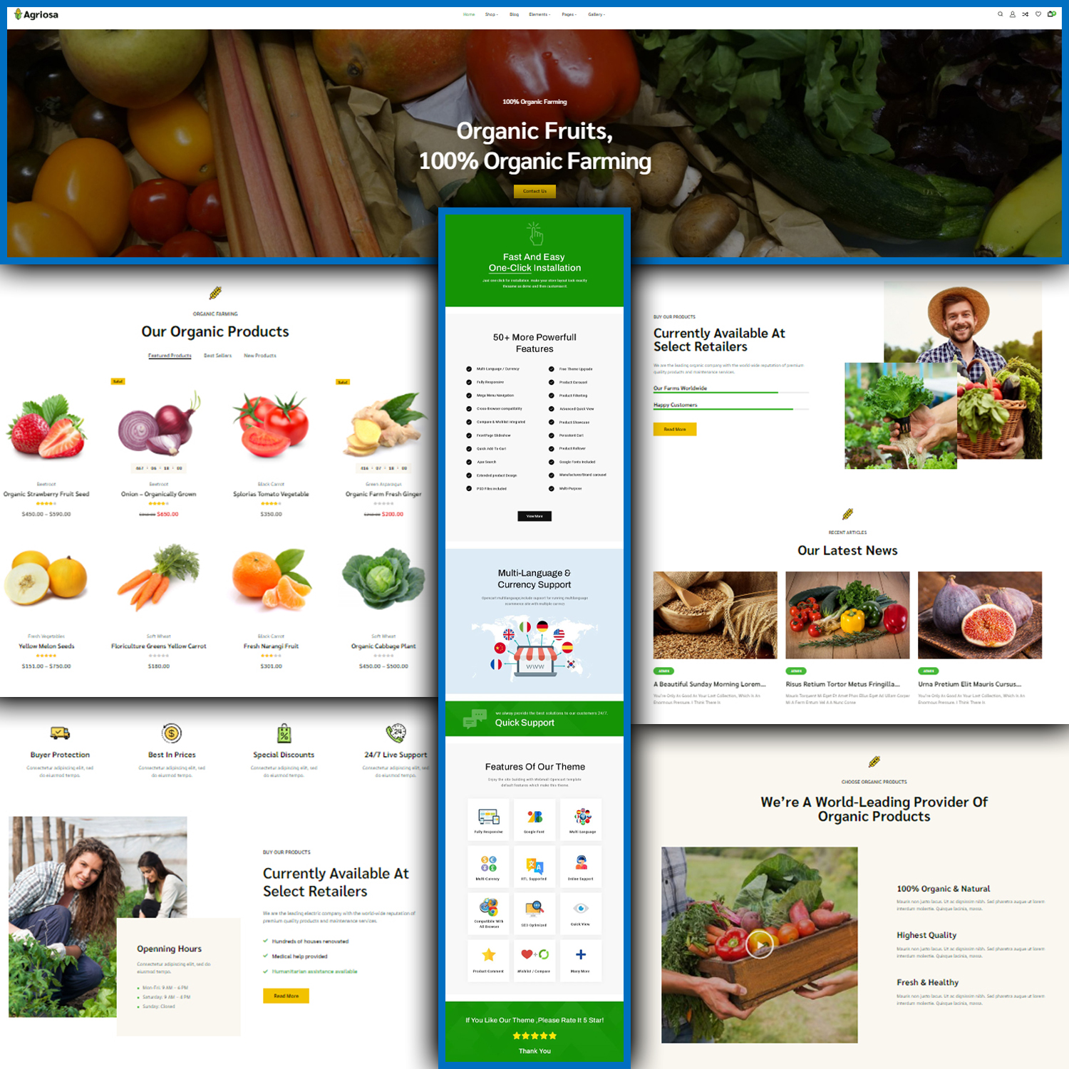 Images preview agriosa vegetables fruits and grocery woocommerce elementor theme.