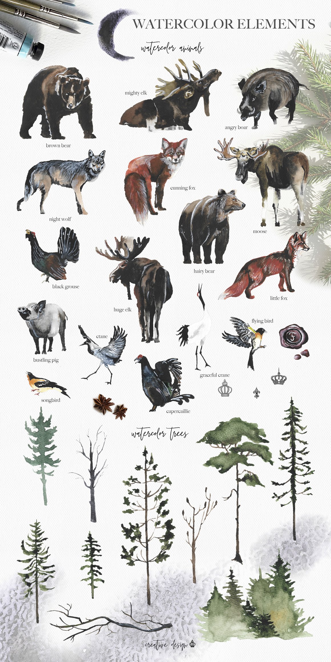 Images of moose and other animals are colored.