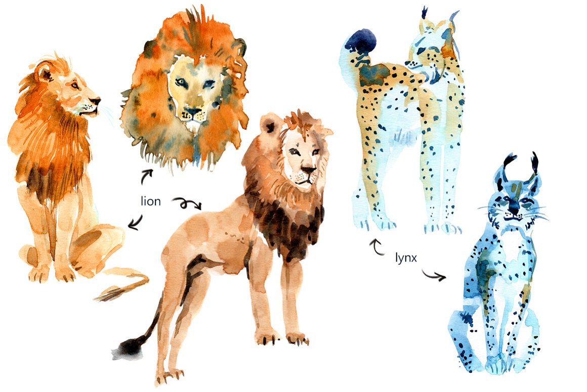Various wild animals.