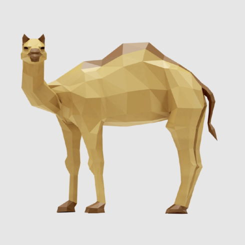 Images preview camel.