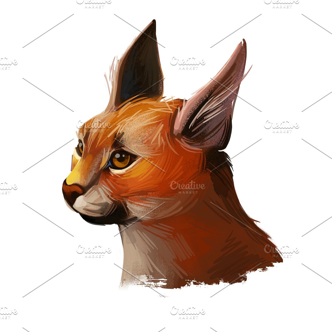 Image of a caracal.