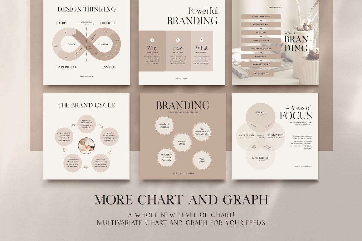 Representation of accurate data in graphs.