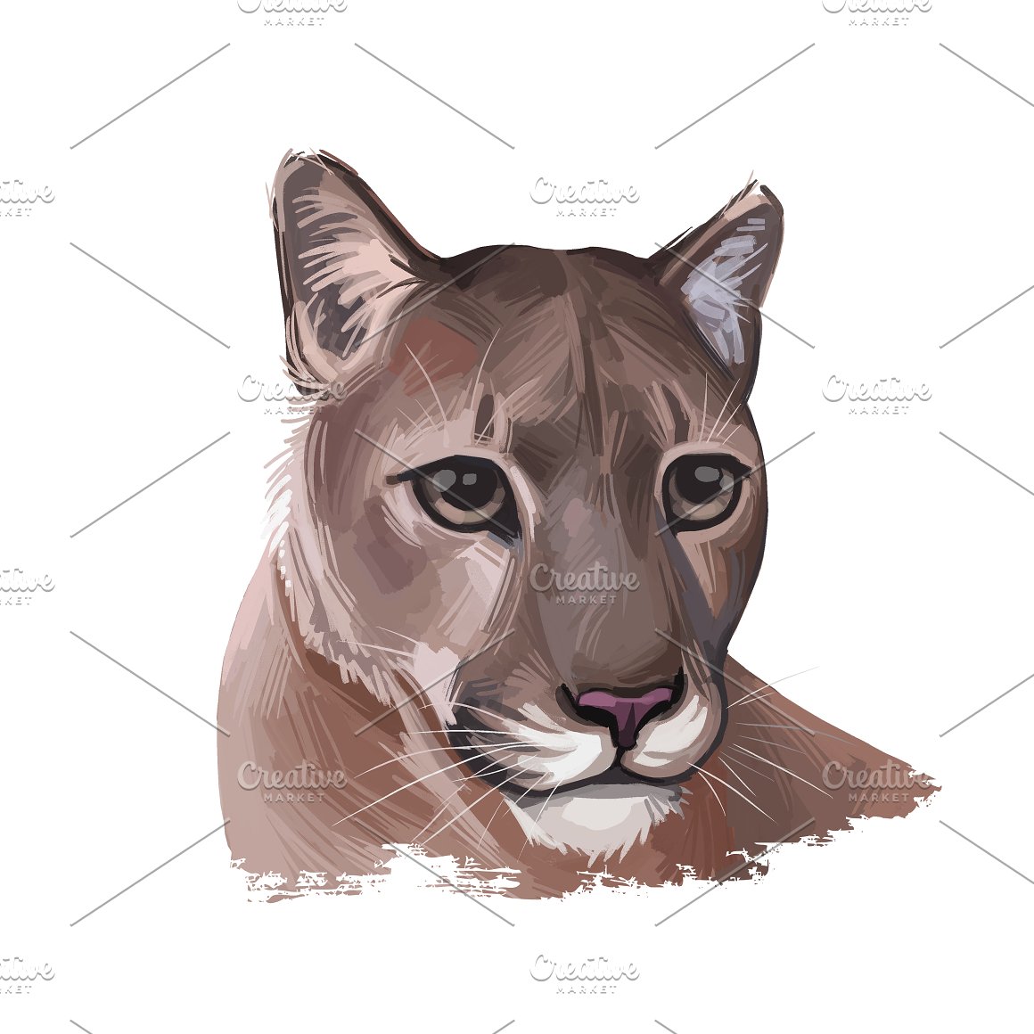Cougar image.