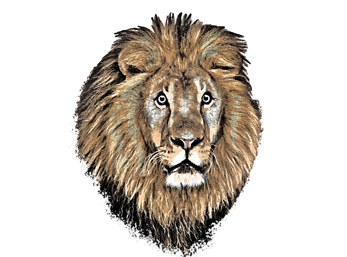 Lion's head.