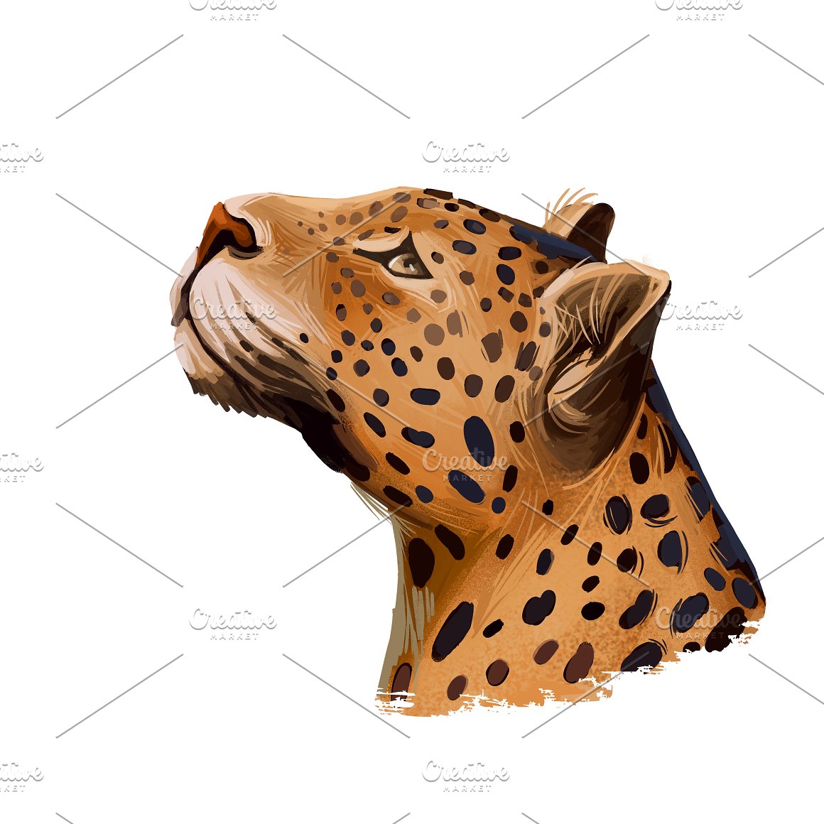 Leopard head.