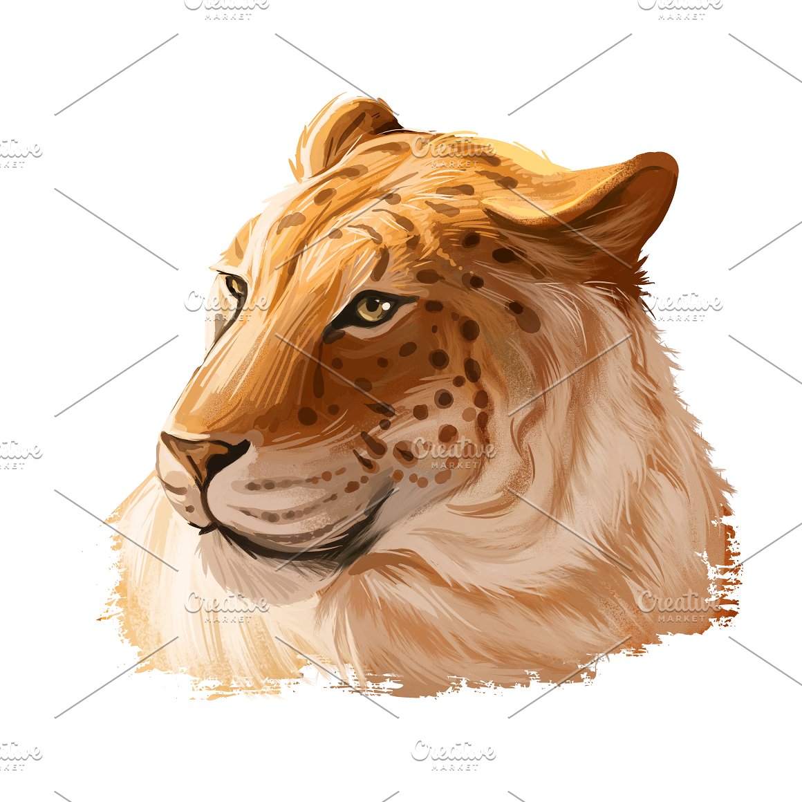 Image of a lioness.