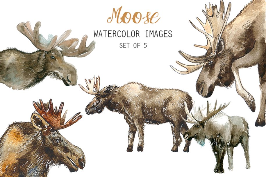 A herd of moose color drawings.