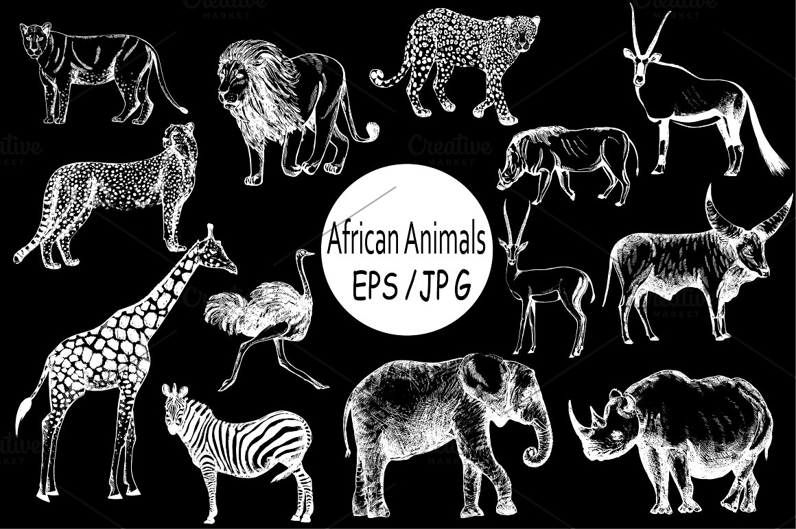 Black background of pictures with animals.