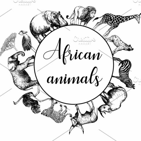 African Animals | MasterBundles
