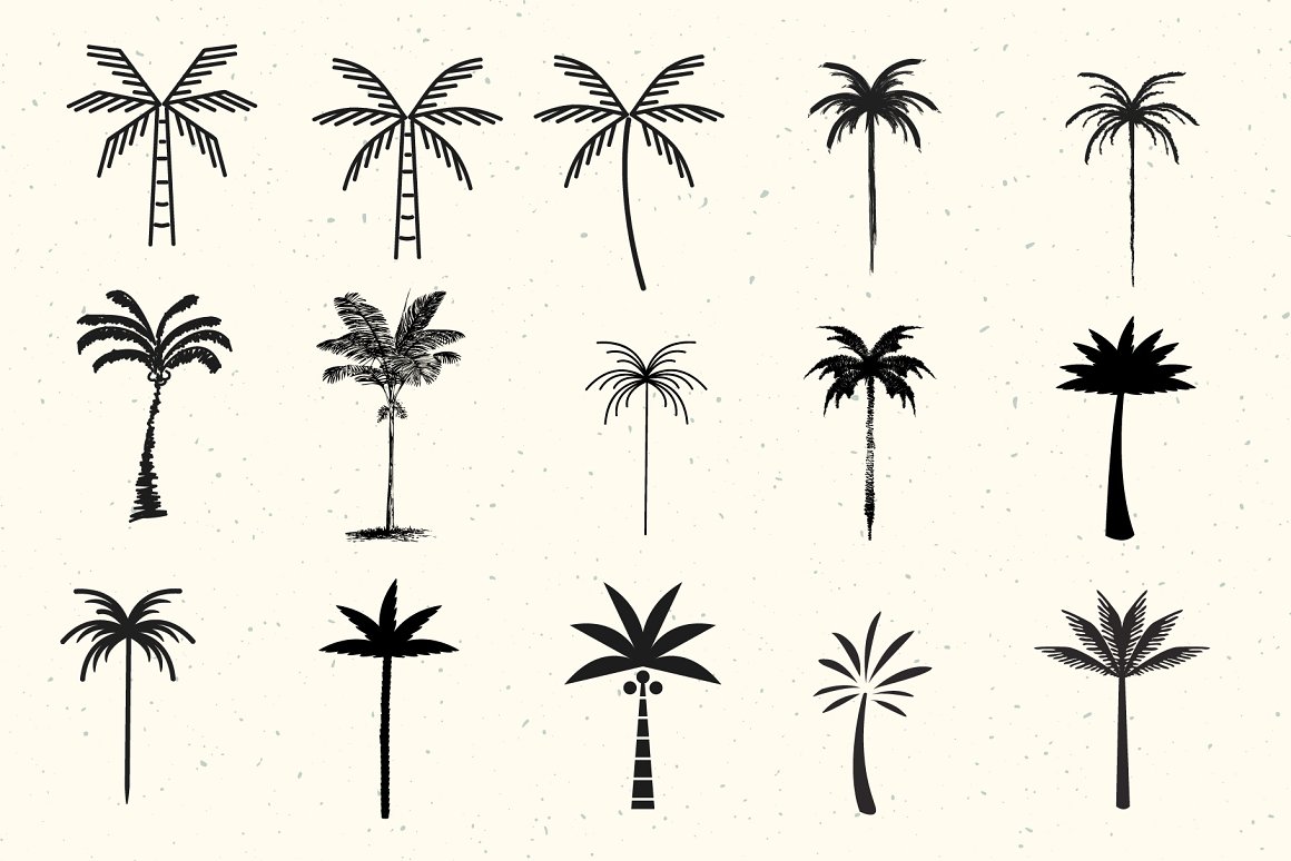 Palms of different shapes.