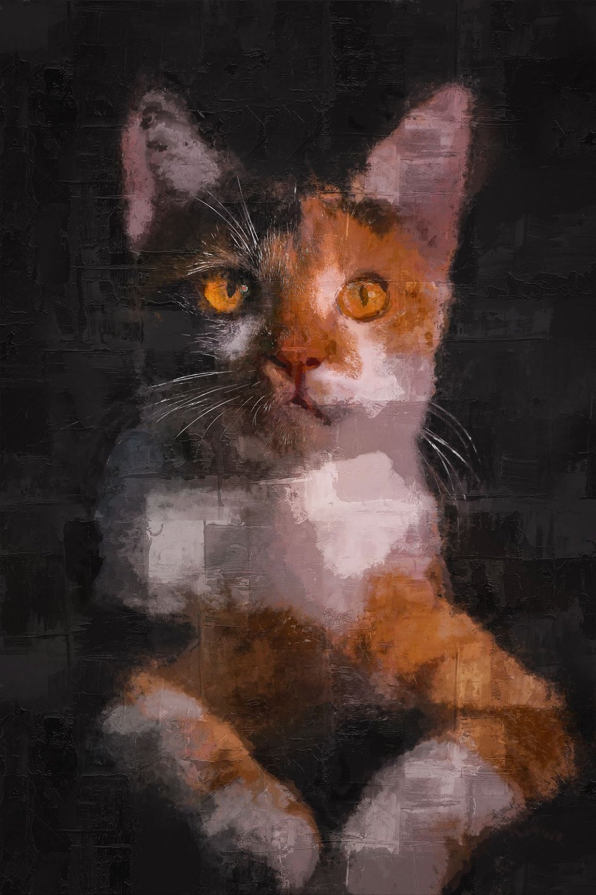 Image of a cat on a black background.