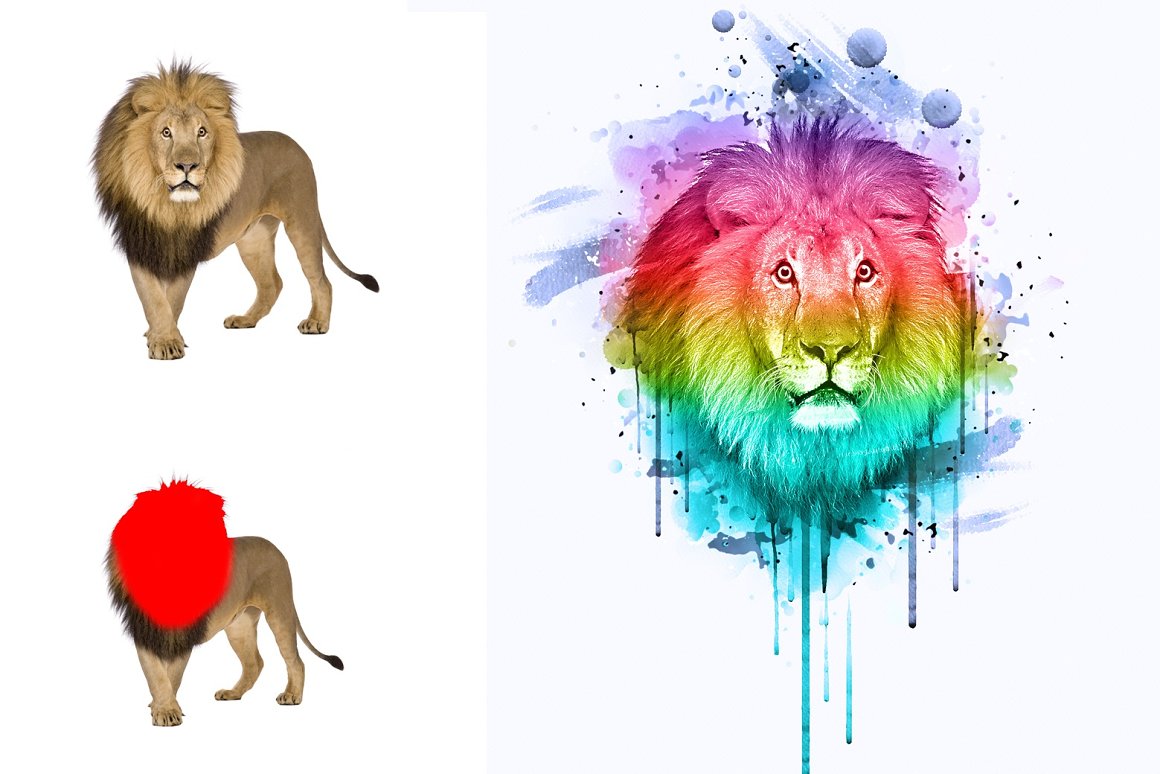 Modified picture with a lion.