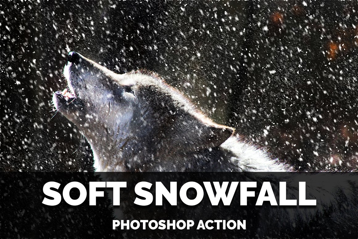 Image of a wolf and snowfall.