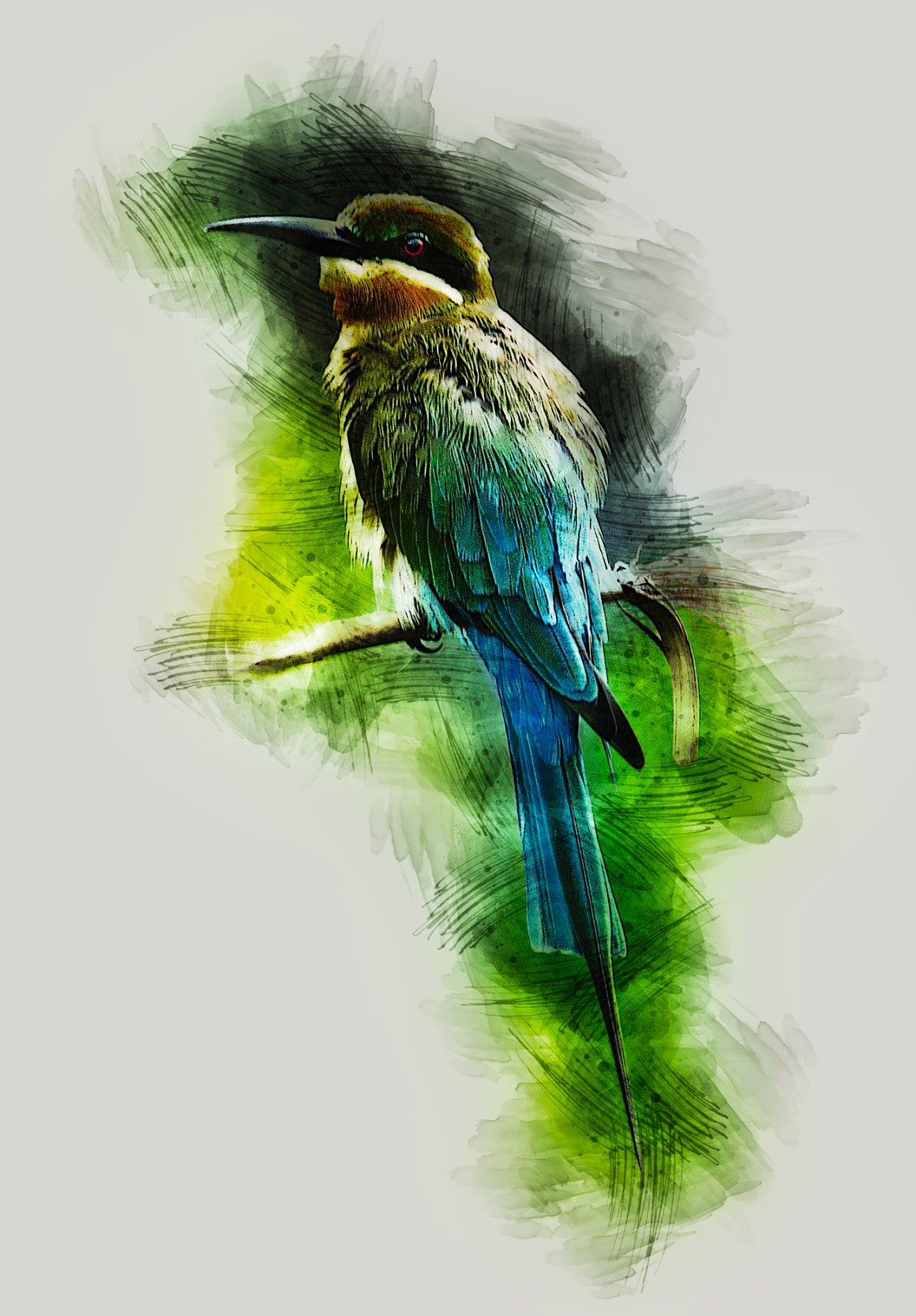 A wonderful bird in a color image.