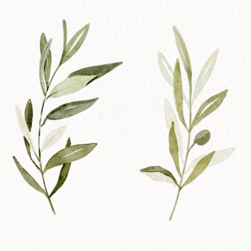 Preview ealistic watercolor brushes.