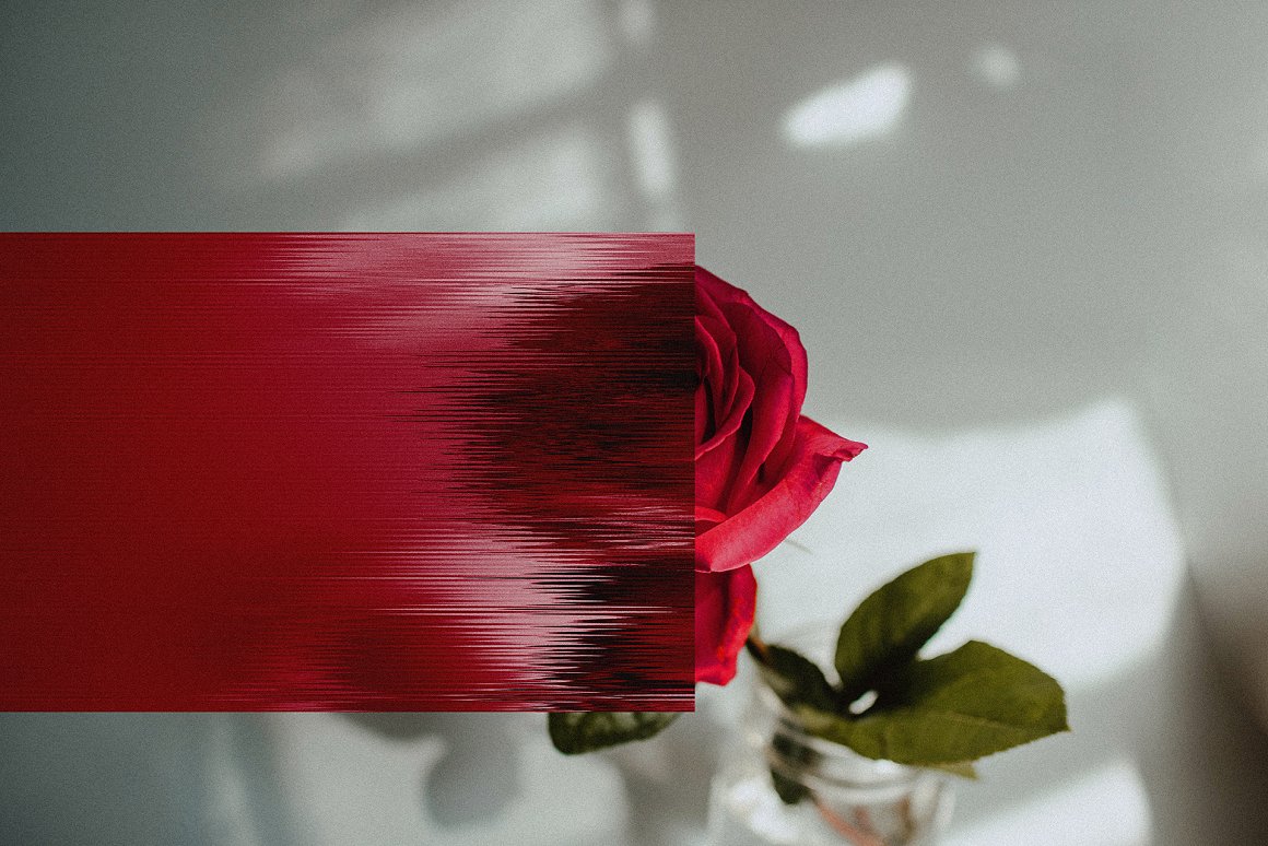 Image of a rose.