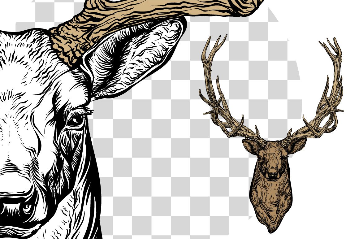 Deer head insert image.