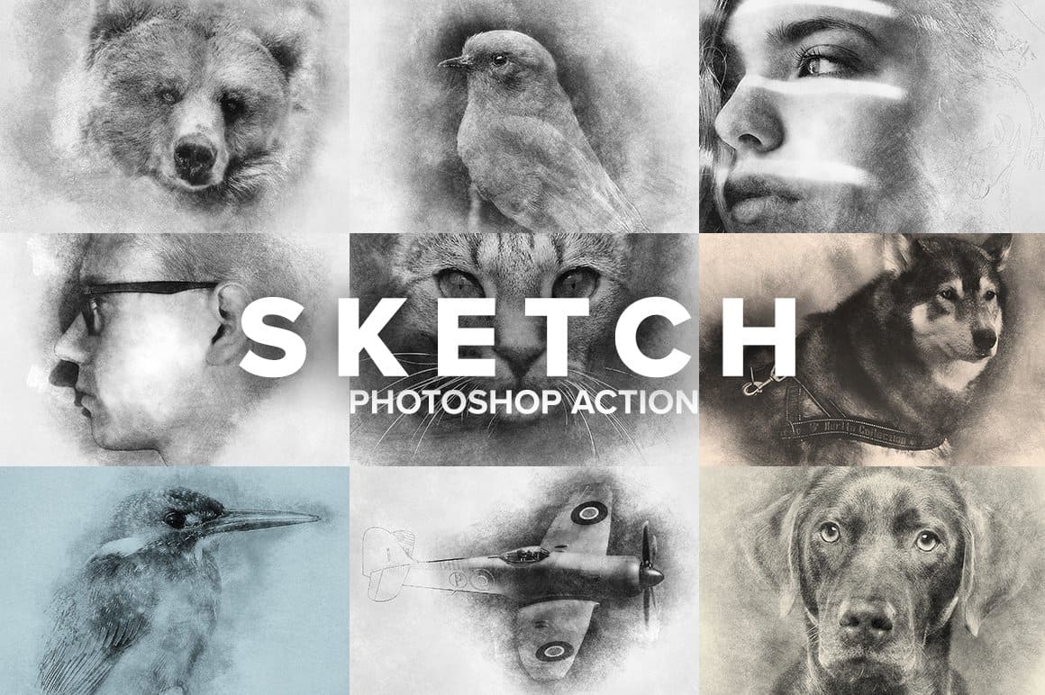 9 images from Sketch Photoshop action.