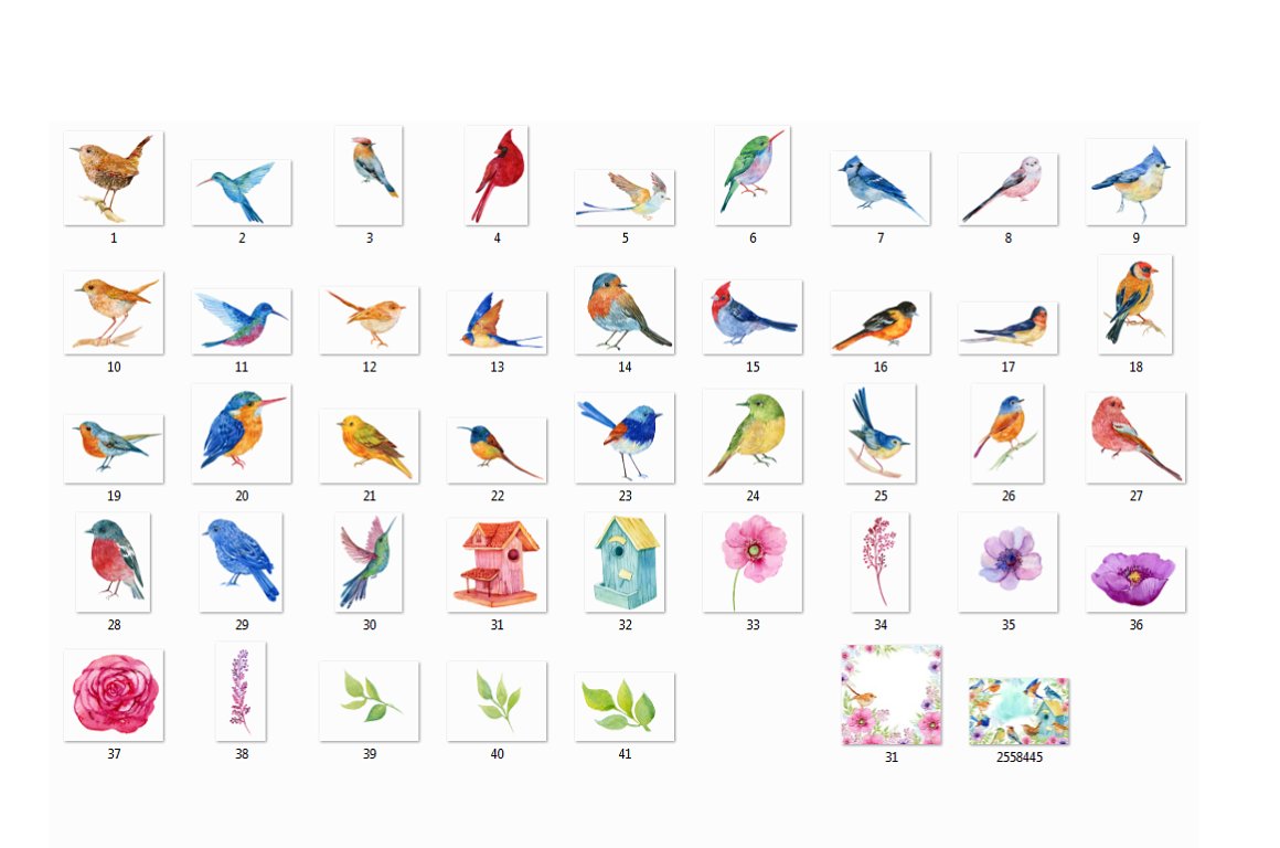 Different colored birds.