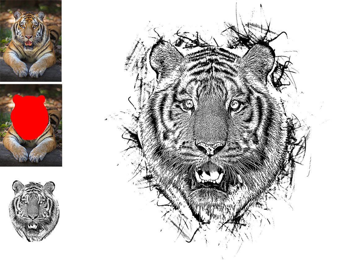 The tiger's head is black and white.