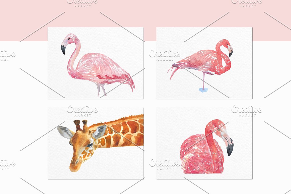 Giraffe, pink flamingo and others.
