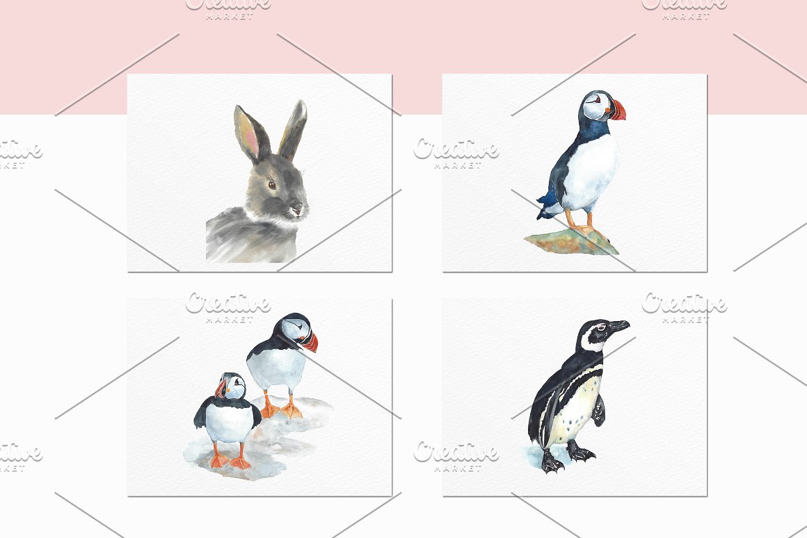 Penguins, hares and more.