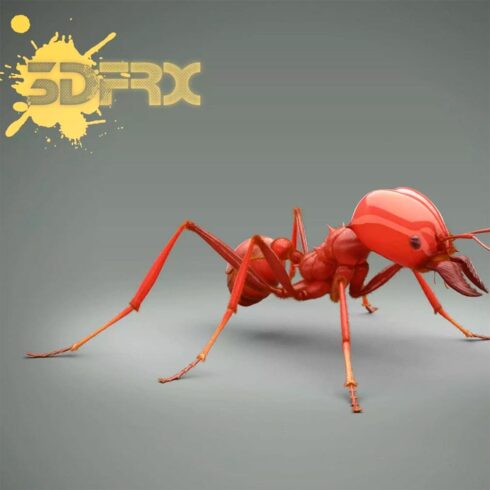 Red ant, main picture.