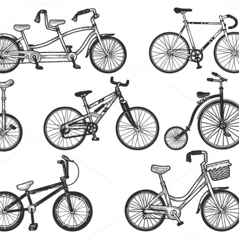 Bicycle set sketch engraving vector, main picture.