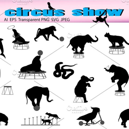 Circus show, main picture.