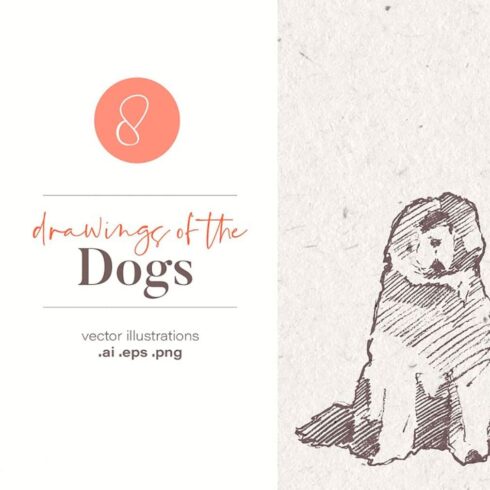 Drawings of the dogs, main picture.